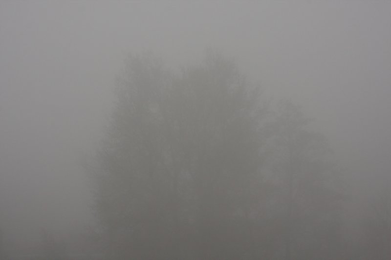 anticipatedlandscapes01.jpg