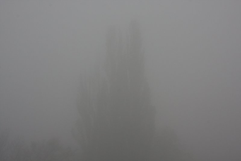 anticipatedlandscapes02.jpg