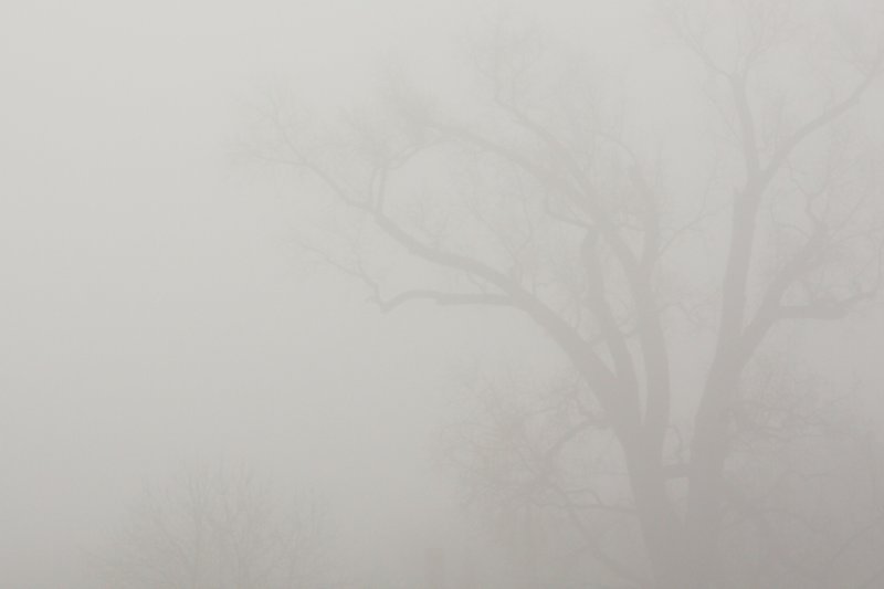 anticipatedlandscapes10.jpg