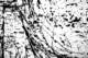 picture253_small.jpg