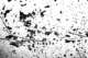 picture256_small.jpg