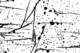 picture258_small.jpg