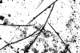 picture259_small.jpg
