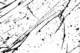 picture261_small.jpg