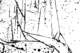 picture263_small.jpg