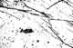 picture264_small.jpg