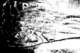 picture266_small.jpg