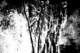 picture268_small.jpg
