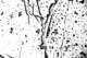 picture269_small.jpg