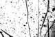 picture272_small.jpg