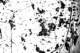 picture273_small.jpg