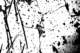 picture274_small.jpg