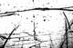 picture277_small.jpg