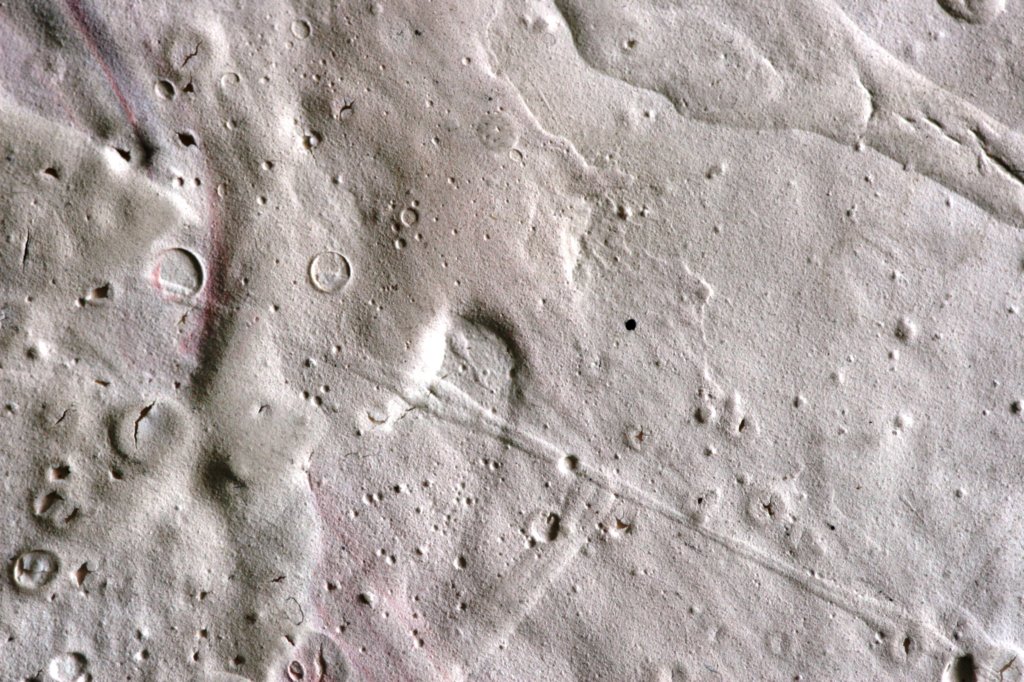 closely02.jpg
