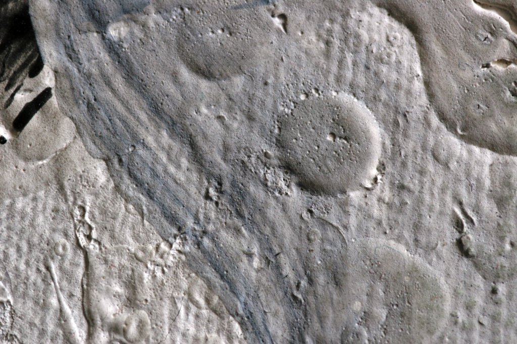 closely05.jpg