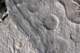 closely05_small.jpg