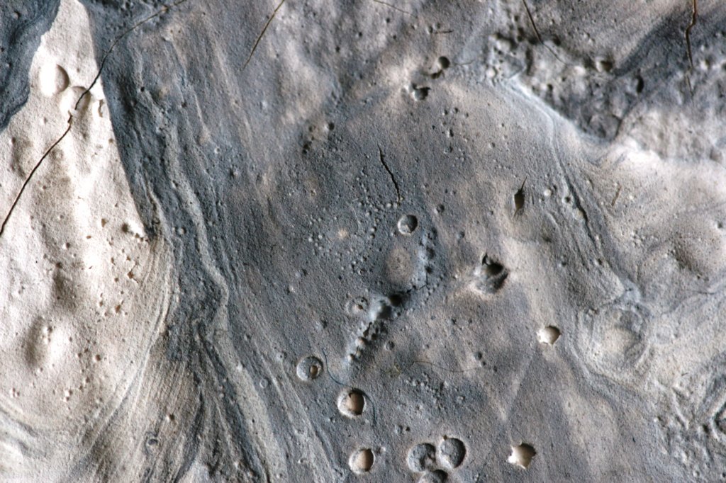 closely25.jpg