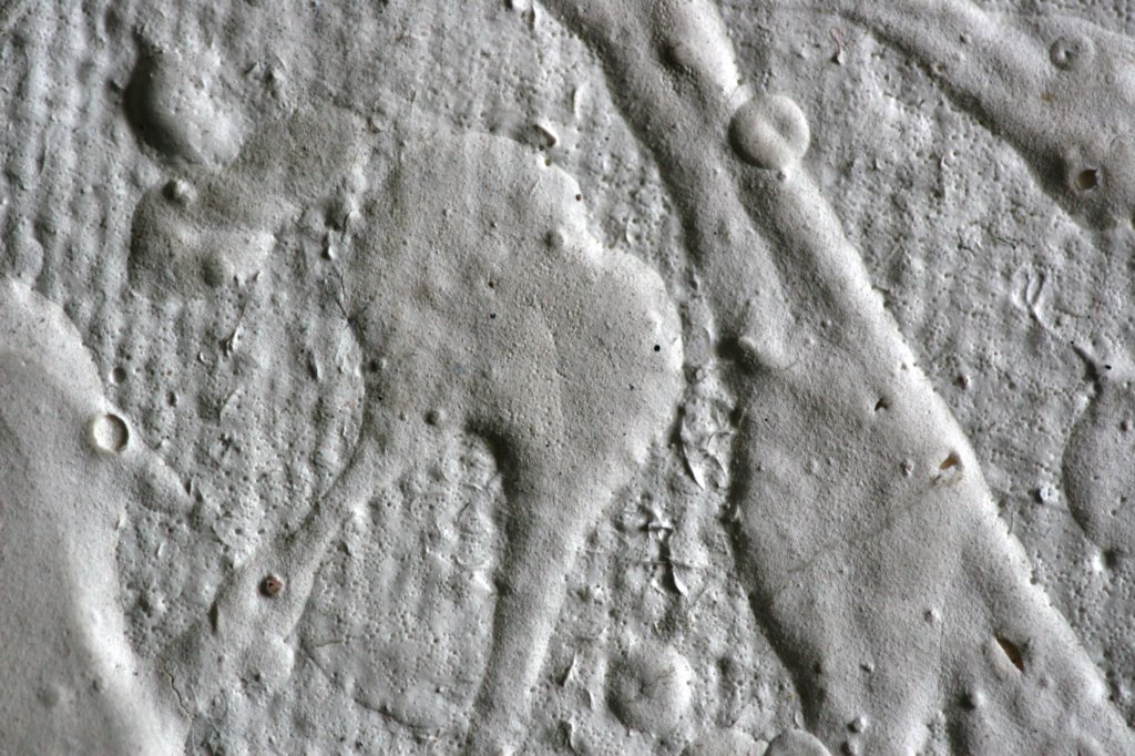 closely26.jpg