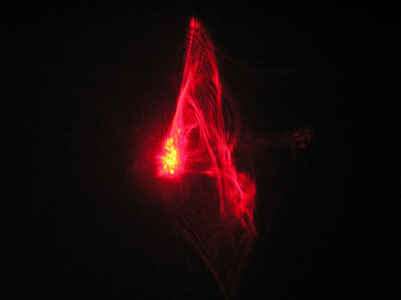 red 7