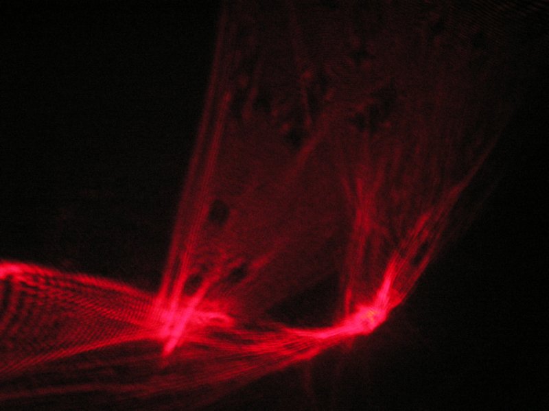 red 8