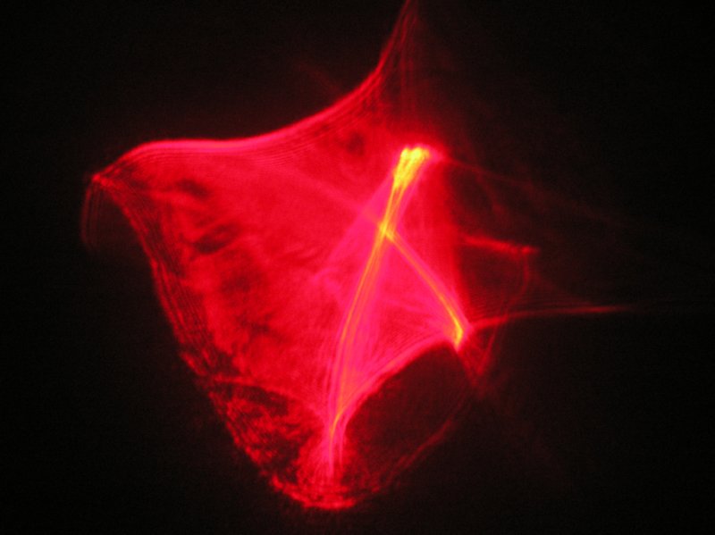 red 10