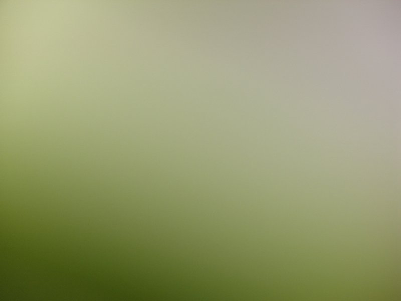 shapesii26.jpg