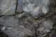 foto022_small.jpg