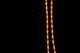 tracks_9_small.jpg