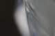 ac2014_03_small.jpg