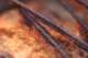broken_piano_burning_07_small.jpg