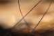 broken_piano_burning_09_small.jpg