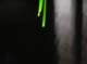 incellarstudio1_small.jpg