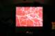 telcliveix11_small.jpg