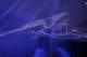 noise_zone_x_06_small.jpg