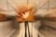 artsbirthday03_small.jpg