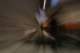 artsbirthday05_small.jpg