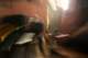 noise_zone_xiv_04_astro_small.jpg