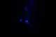 industrial_nights_vol2_03_vladimir_hirsch_small.jpg