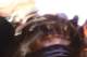 noise_zone_xx_06_small.jpg