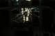 broken_rebroken_2020_05_small.jpg