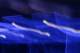 noisezoneix06_small.jpg
