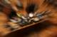 brno_07_small.jpg