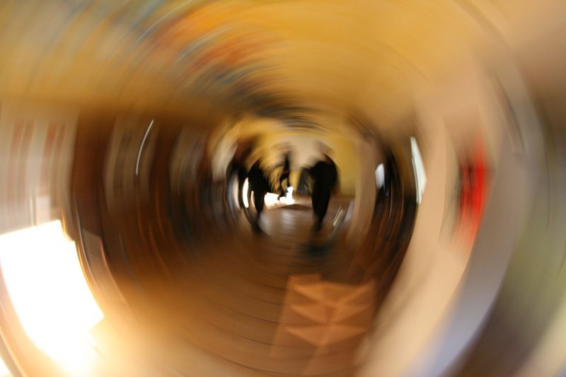 dresden04.jpg