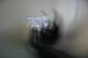 dox_07_small.jpg