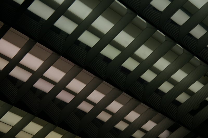 divus2013_01.jpg