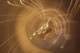 reflection_of_time_02_small.jpg