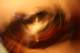 re_broken_test_07_small.jpg