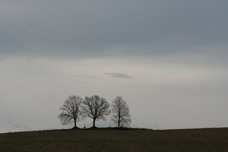 sc200712.jpg