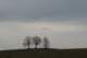 sc200712_small.jpg
