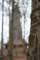 sc20073_small.jpg
